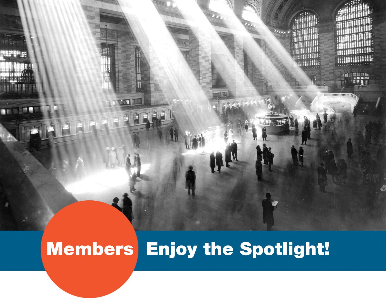 Members Spotlight