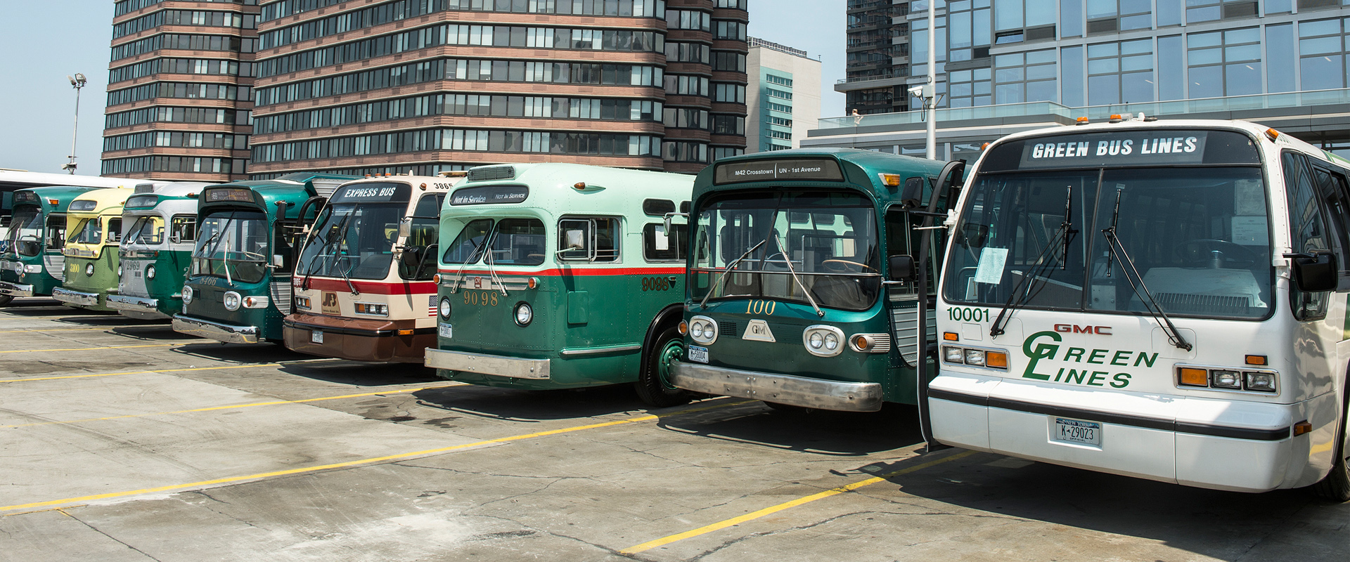 Bus Festival