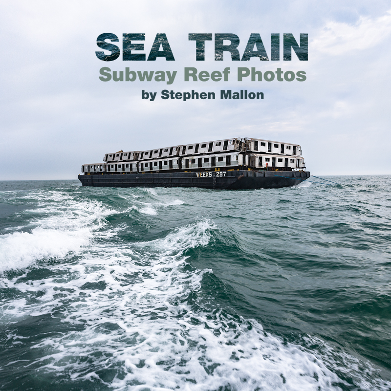 Exhibit Logo for Sea Train: Subway Reef Photos