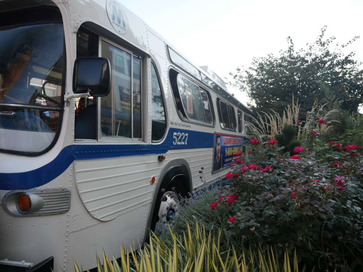 Bus #5227 surrounded by flowers