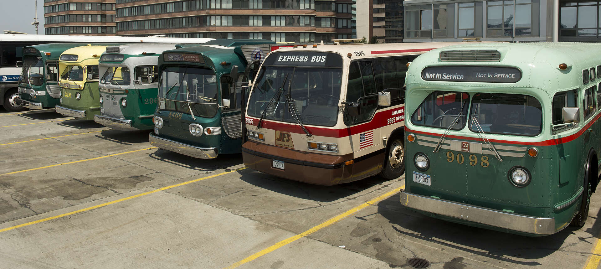 Buses scheduled to be at the 2023 Bus Festival parked side by side