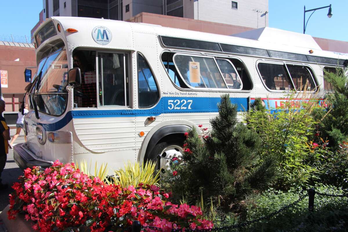 Blue and white bus surrounded by flowers