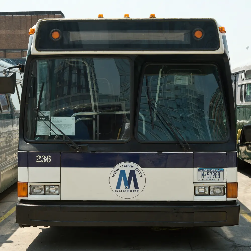 Black and white bus 236