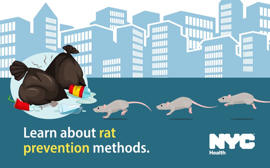 Illustration of rats running towards trash bags. Text reads, "Learn about rat prevention methods."